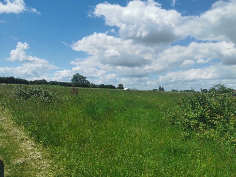 terrain à construire viabilisé de 955m2 disponible à Saint-Pardon-de-Conques