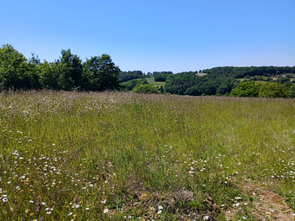 Superbe terrain à vendre en vente à Saint-Astier (24110)