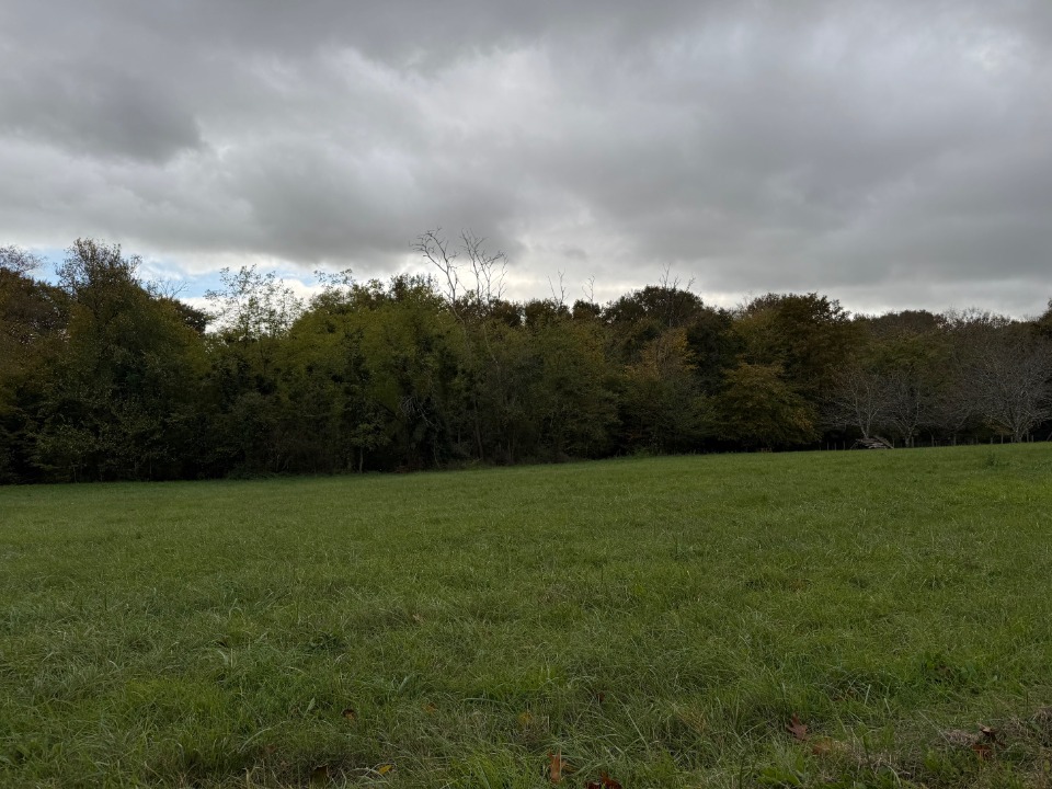 Superbe terrain viabilisé de 1450m2 en vente à Gironde-sur-Dropt (33190)
