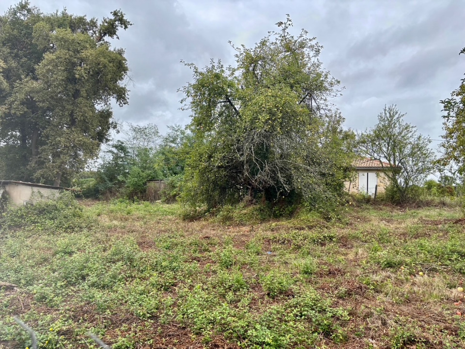 terrain à vendre viabilisé en vente à Saint-Estèphe (33180)
