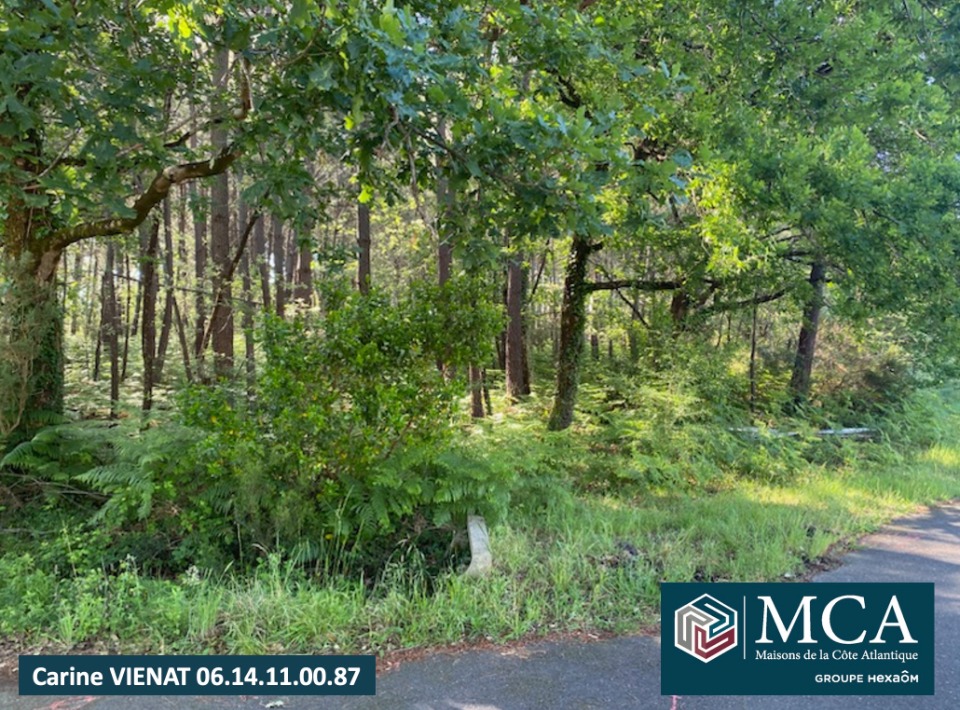 terrain constructible viabilisé de 650m2 en vente à Sanguinet