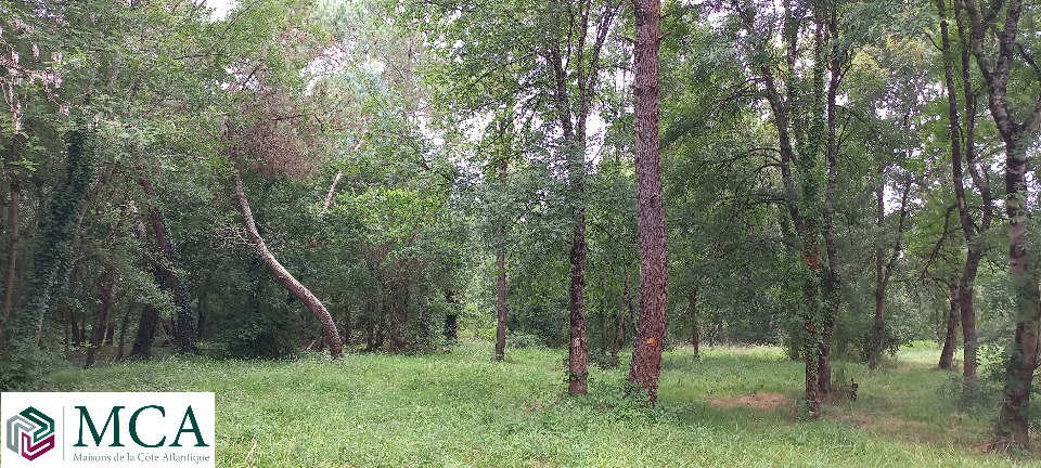 terrain à Ménesplet