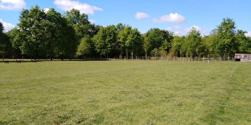 Offre de terrain constructible viabilisé disponible à Beaupouyet