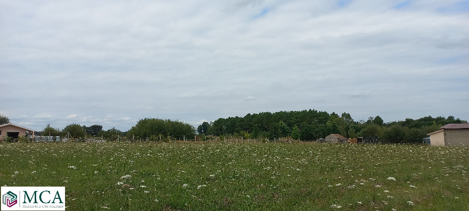 terrain à vendre de 1600m2 disponible à Montpon-Ménestérol