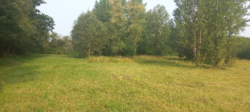 terrain viabilisé en vente à Ménesplet (24700)