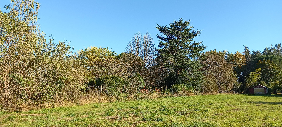 terrain à construire viabilisé de 1980m2 en vente à Saint-Martial-d'Artenset