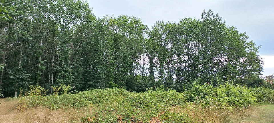 Ravissant terrain à construire à Ménesplet