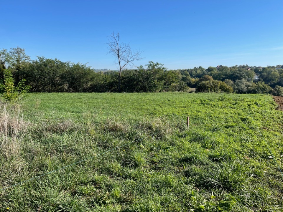 Beau terrain à Bazas (33430)
