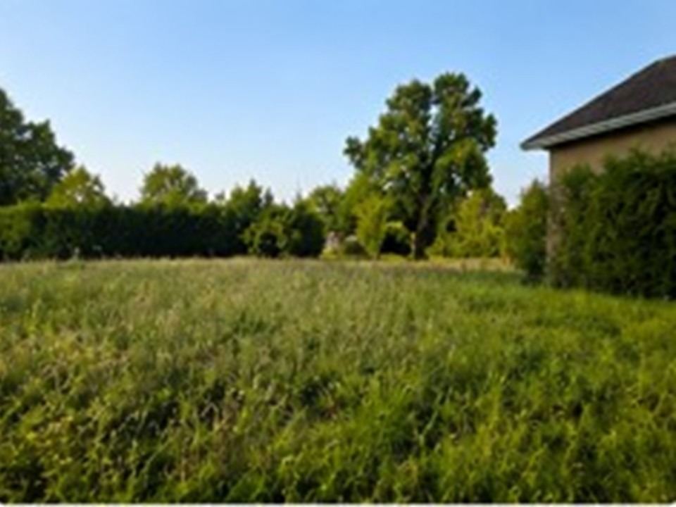 terrain de 587m2 en vente à Peujard (33240)