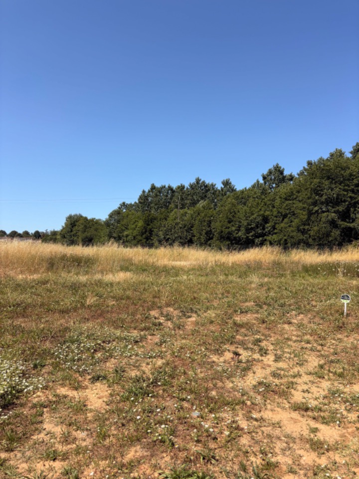 terrain à vendre de 800m2 en vente à Vayres