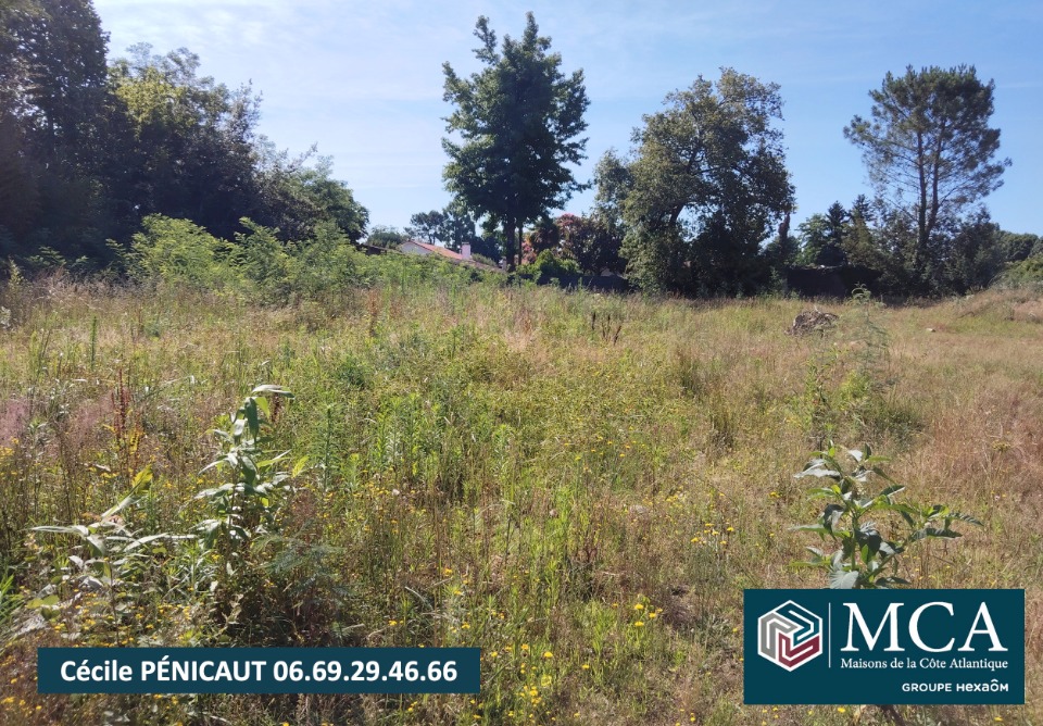 terrain constructible en vente à Narrosse (40180)