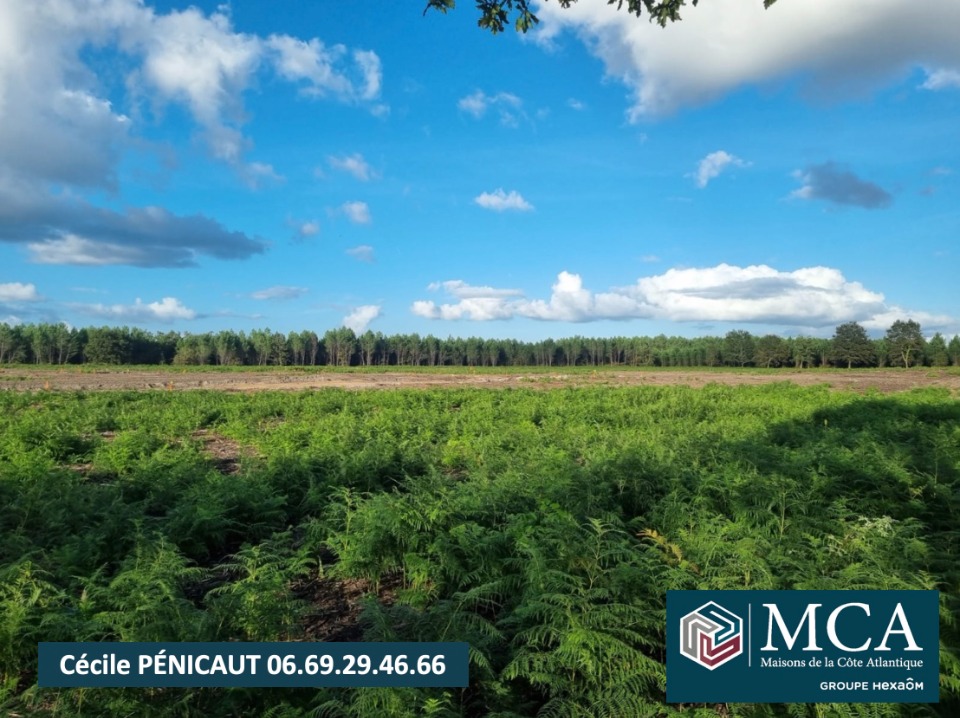 Parcelle de terrain à batir de 672m2 à Laluque (40465)