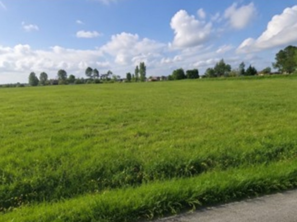 Ravissant terrain viabilisé de 453m2 en vente à La Lande-de-Fronsac (33240)