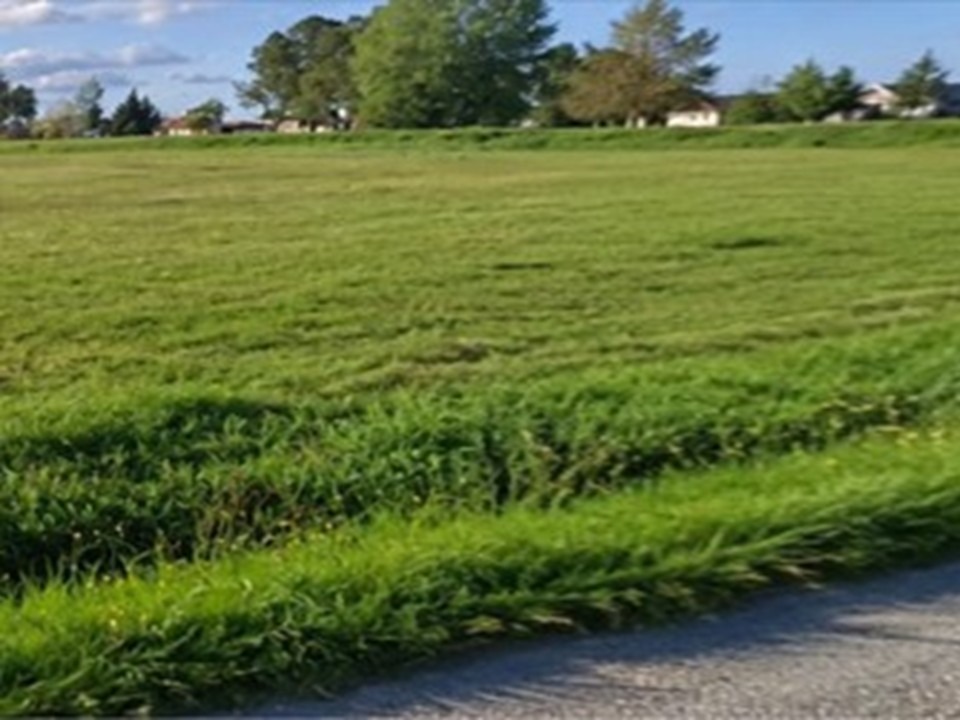 Magnifique terrain constructible viabilisé à La Lande-de-Fronsac