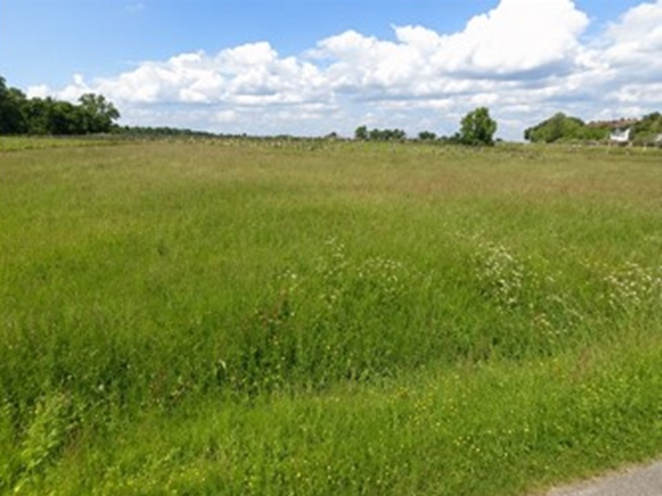 Parcelle de terrain constructible disponible à Saint-Savin (33920)