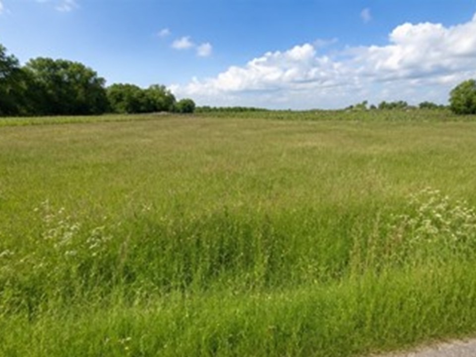 terrain constructible viabilisé disponible à Saint-Savin