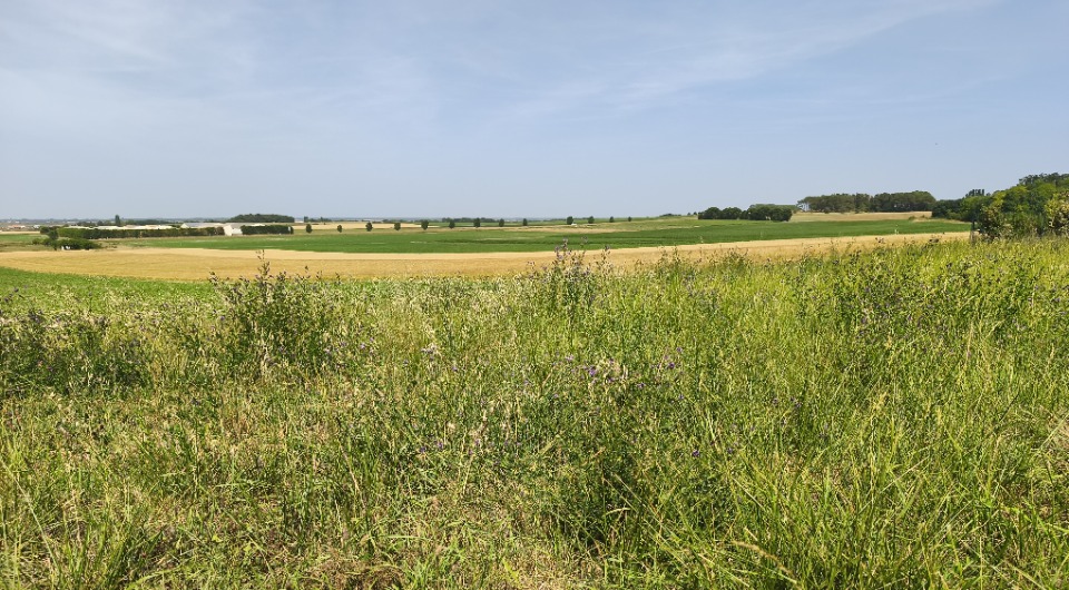 Offre de terrain constructible viabilisé disponible à Étaules (17750)
