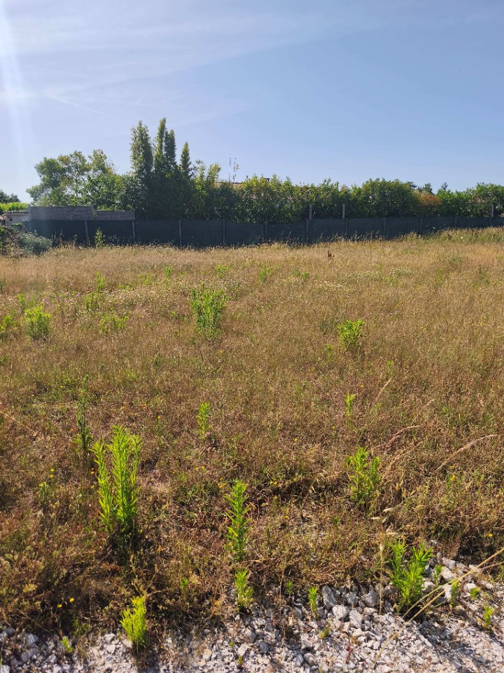 terrain constructible de 252m2 à Vaux-sur-Mer (17640)