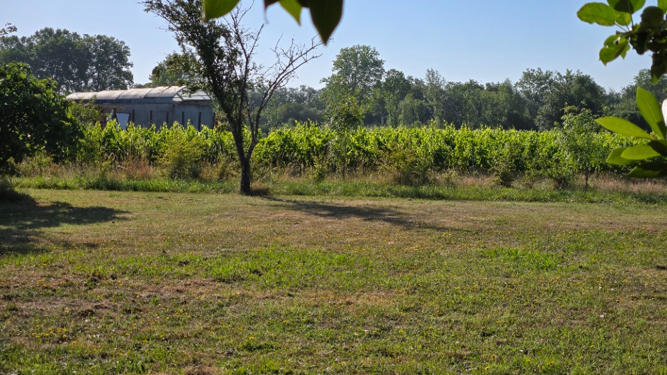 terrain à construire de 605m2 à Saint-André-de-Cubzac
