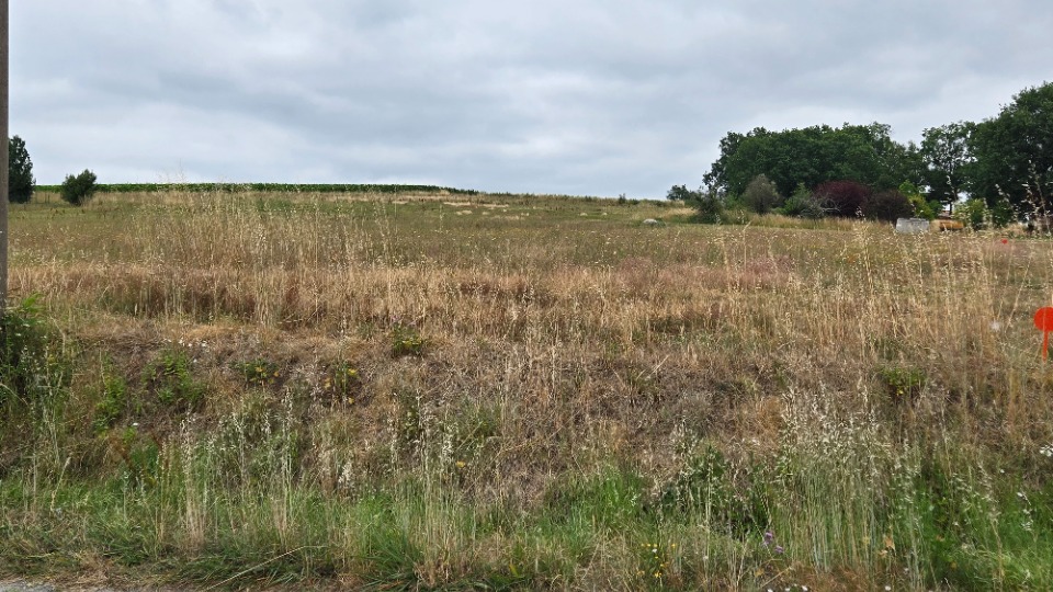 Superbe terrain à construire viabilisé de 1320m2 disponible à Saint-Savin (33920)