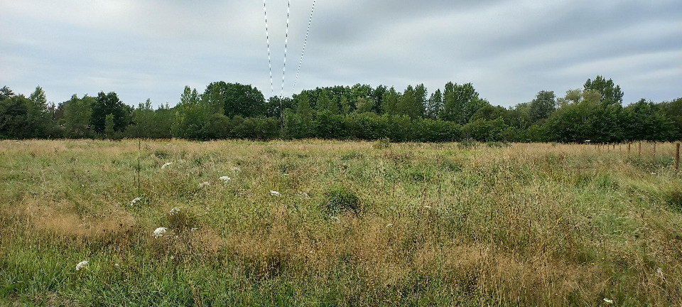 terrain à vendre disponible à Ménesplet (24700)