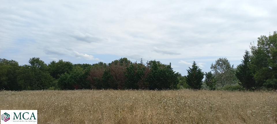 Très beau terrain à vendre de 2210m2 en vente à Eygurande-et-Gardedeuil