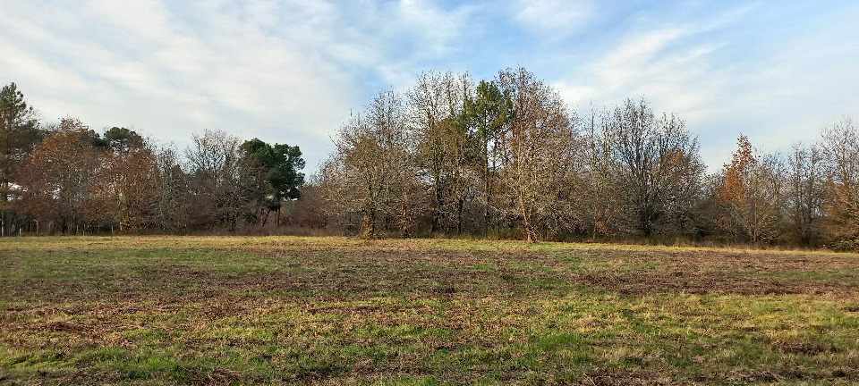 Agréable terrain constructible de 11830m2 à Saint-Laurent-des-Hommes (24400)